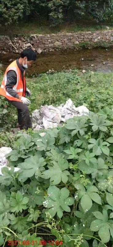密云区大城子镇开展河道清洁整治行动