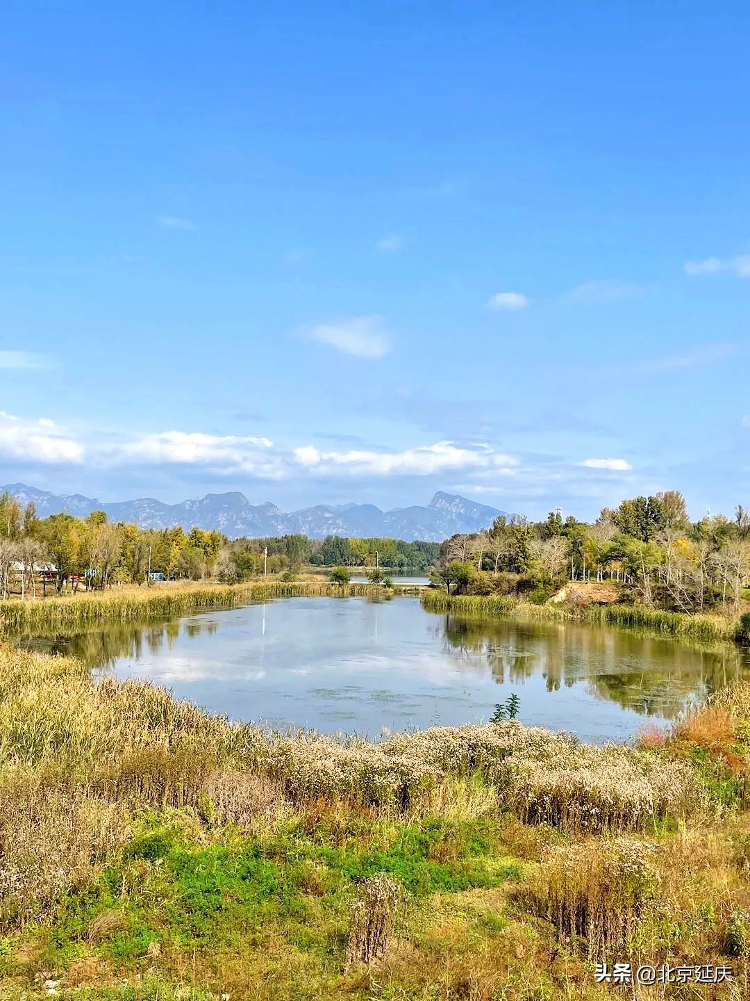 最美冬奥城延庆，朋友圈里一片蓝天