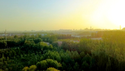 绿绿绿！朝阳区2020年新一轮百万亩绿化造林工程正式启动！