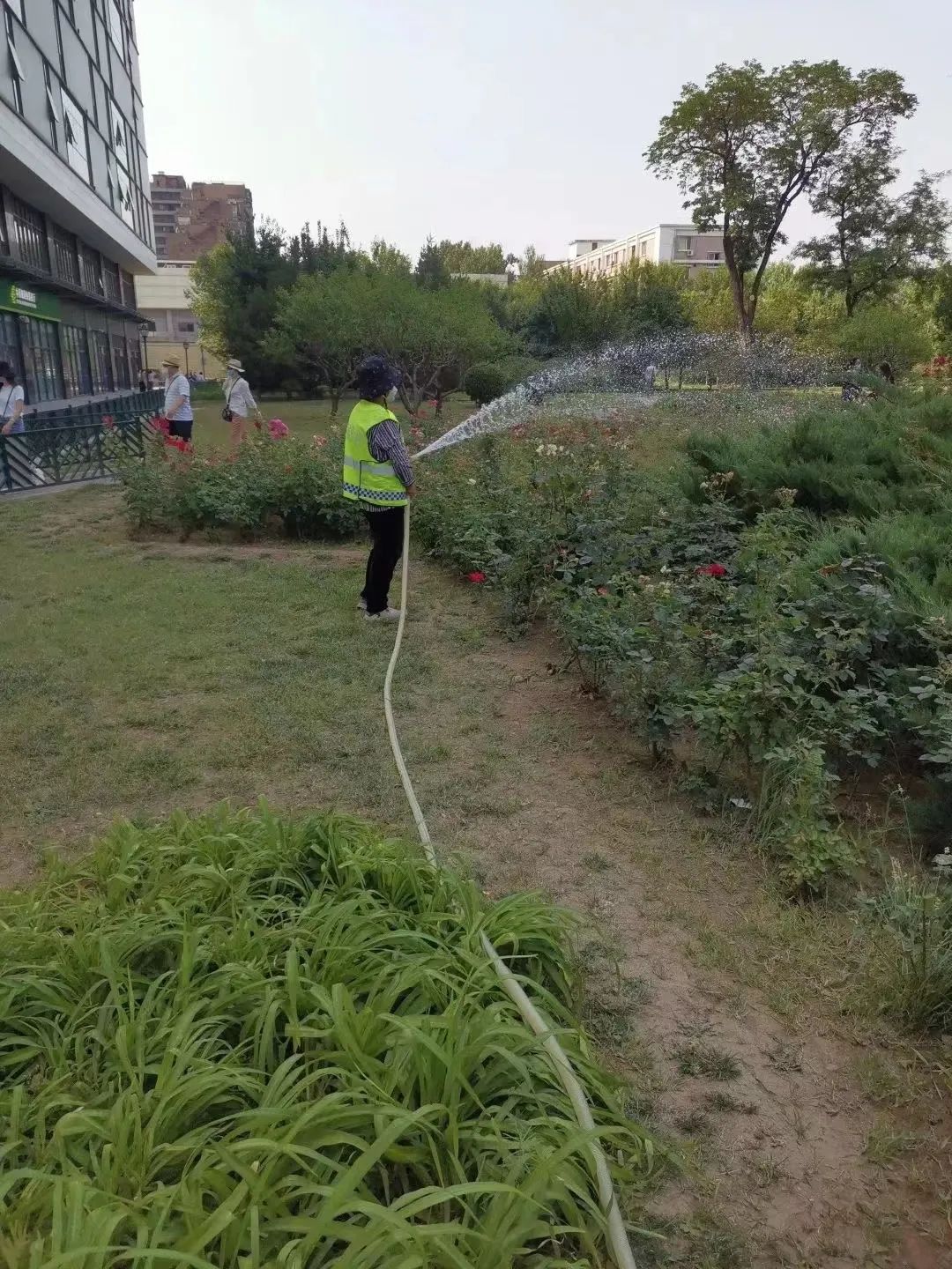 继续加油吧，闪光的少年！我们默默为你们守护......