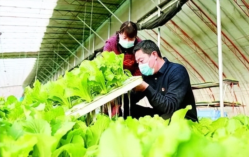 党的十八大以来是怎样建设好党的基层组织和党员队伍？来看这篇综述——