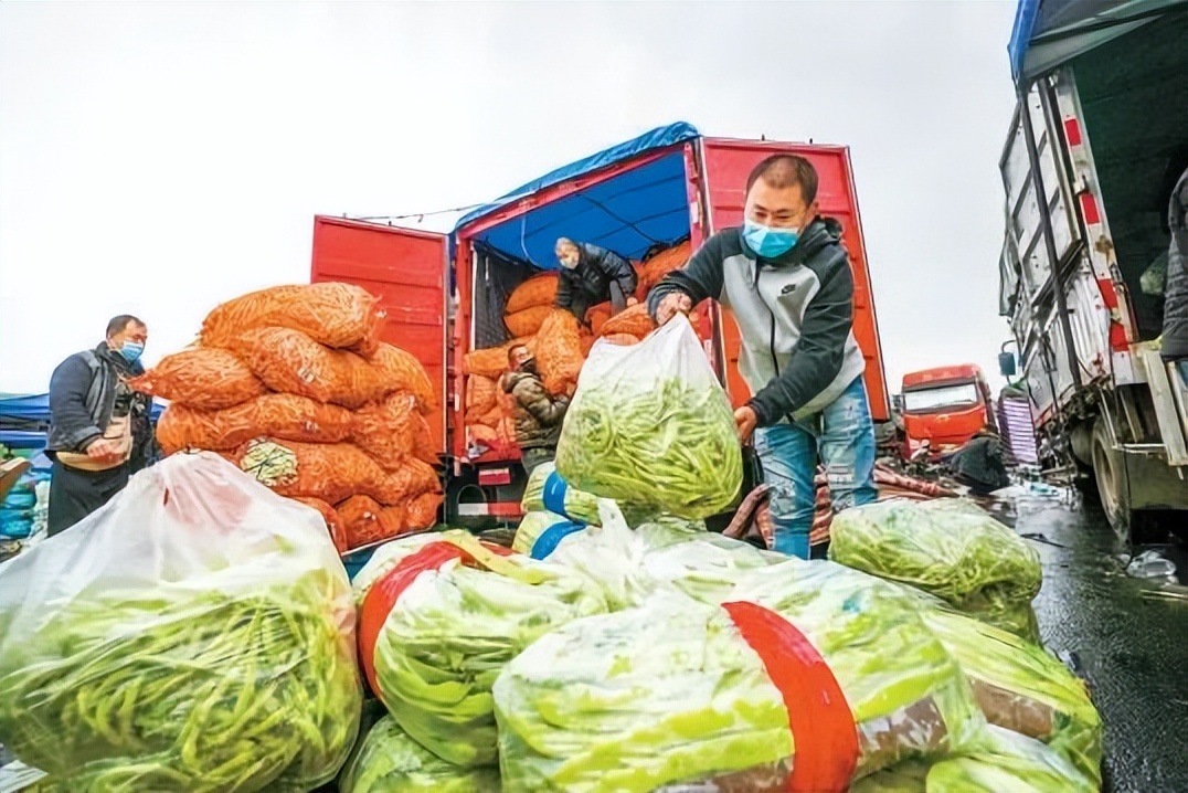 “菜篮子”的底气