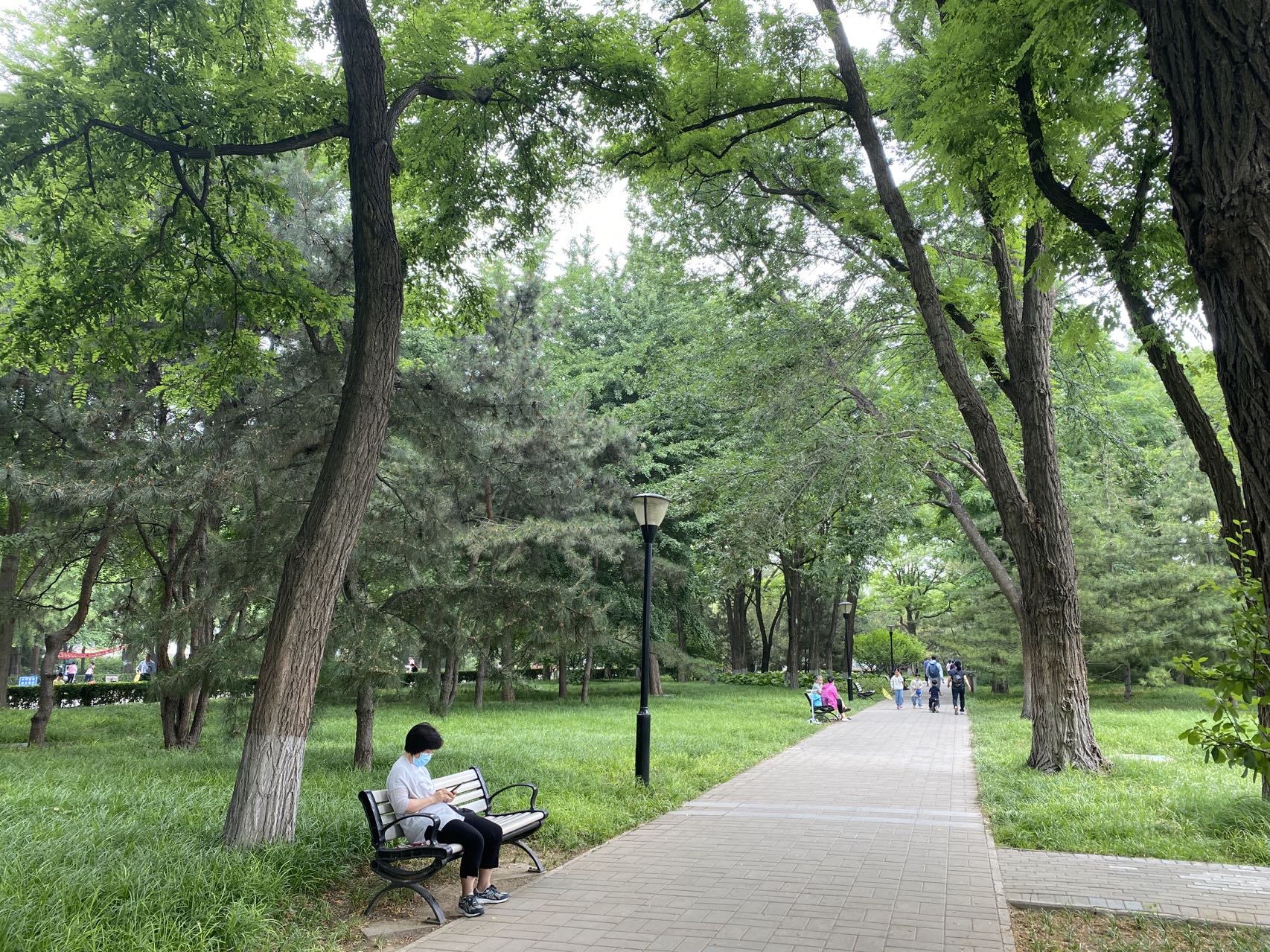 玲珑公园将提升改造为全龄友好公园