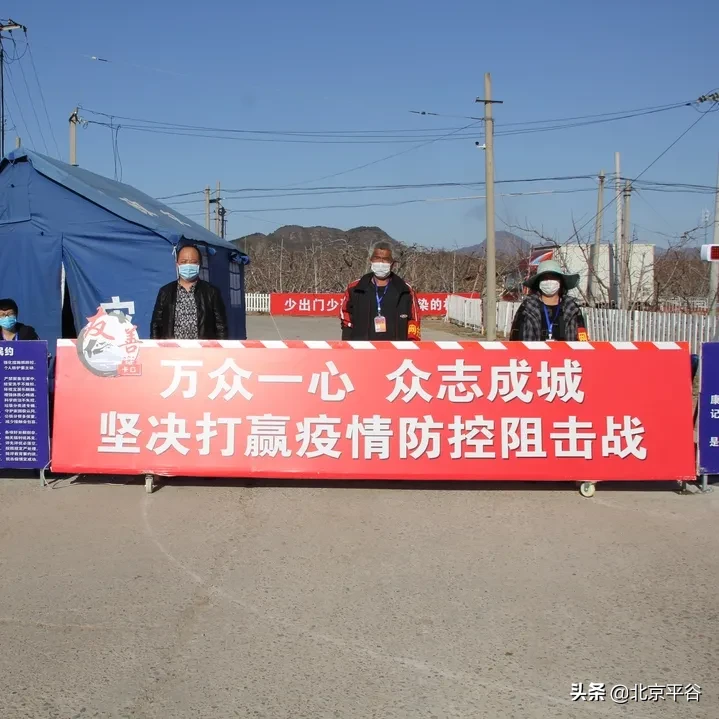 平谷区刘家店镇党委——全国抗击新冠肺炎疫情先进集体、全国先进基层党组织