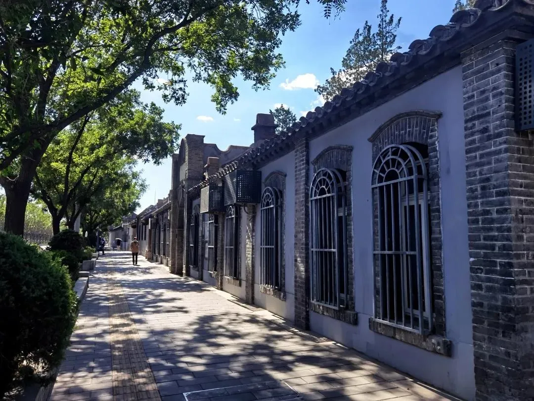 平安大街：绿荫映京韵