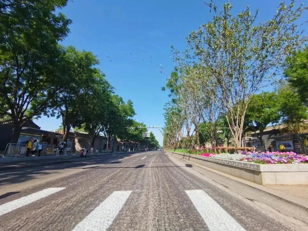 平安大街：绿荫映京韵