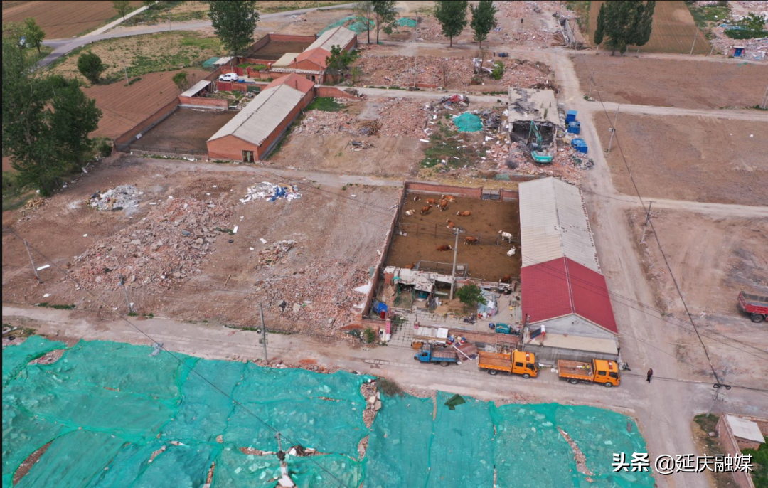 拆除千余平方米违建羊毛衫厂！延庆沈家营镇拆违再发力