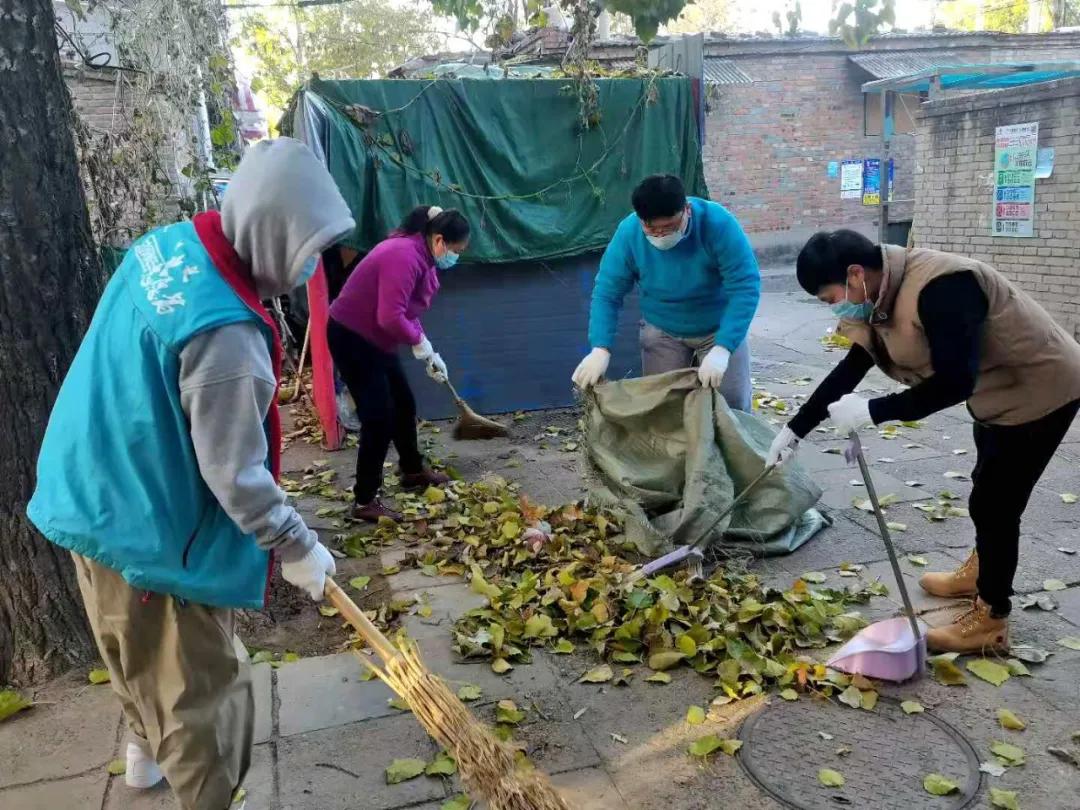 人人参与，行行出力！东城区常态化开展爱国卫生运动