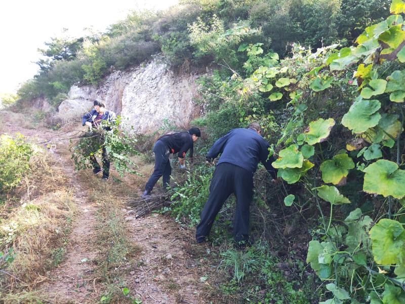 喜迎双节，爱卫同行 密云区大城子镇开展爱国卫生活动