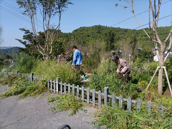 密云区新城子镇开展“全民参与、创城有我”周末大扫除活动