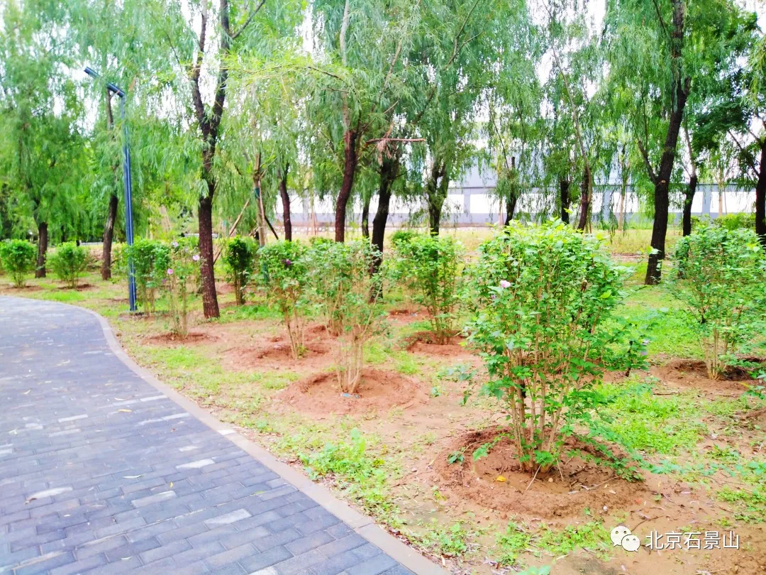 老山城市休闲公园南区：绿荫漫地 返璞归真