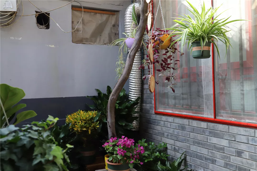 期待！东城44个“美丽院落”年内完成改造