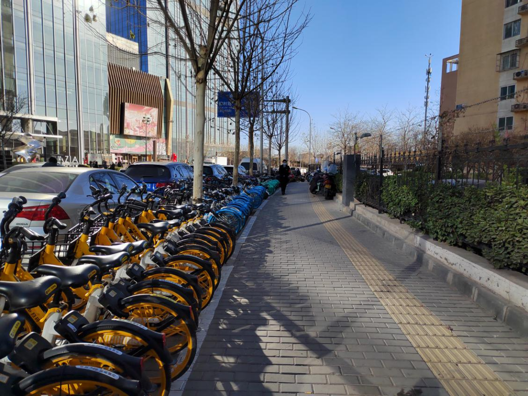 丰台规范化管理让共享单车便民不扰民