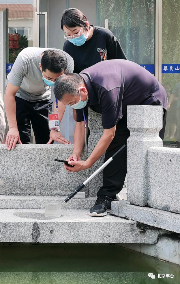 喜报！云岗街道荣获第一届“首都生态文明建设先进集体”称号