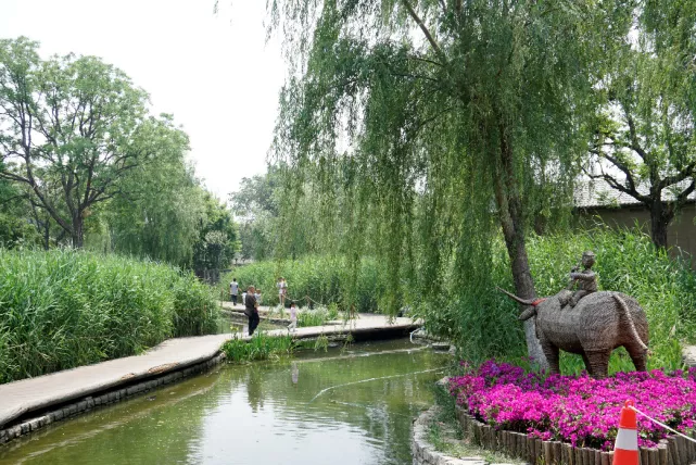 采风前门三里河，小画家画出背街小巷新风貌