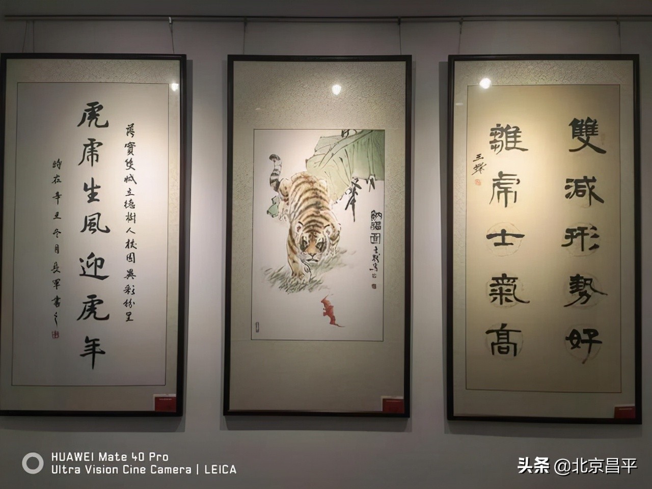 虎虎生风迎虎年！昌平区举办中小学师生书画作品展