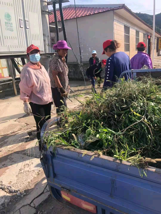 密云区新城子镇开展“全民参与、创城有我”周末大扫除活动