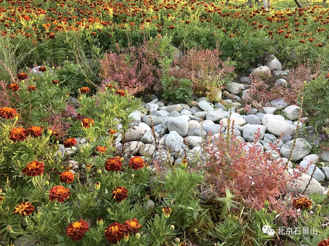 衙门口城市森林公园：京西最大规模的留白增绿片区