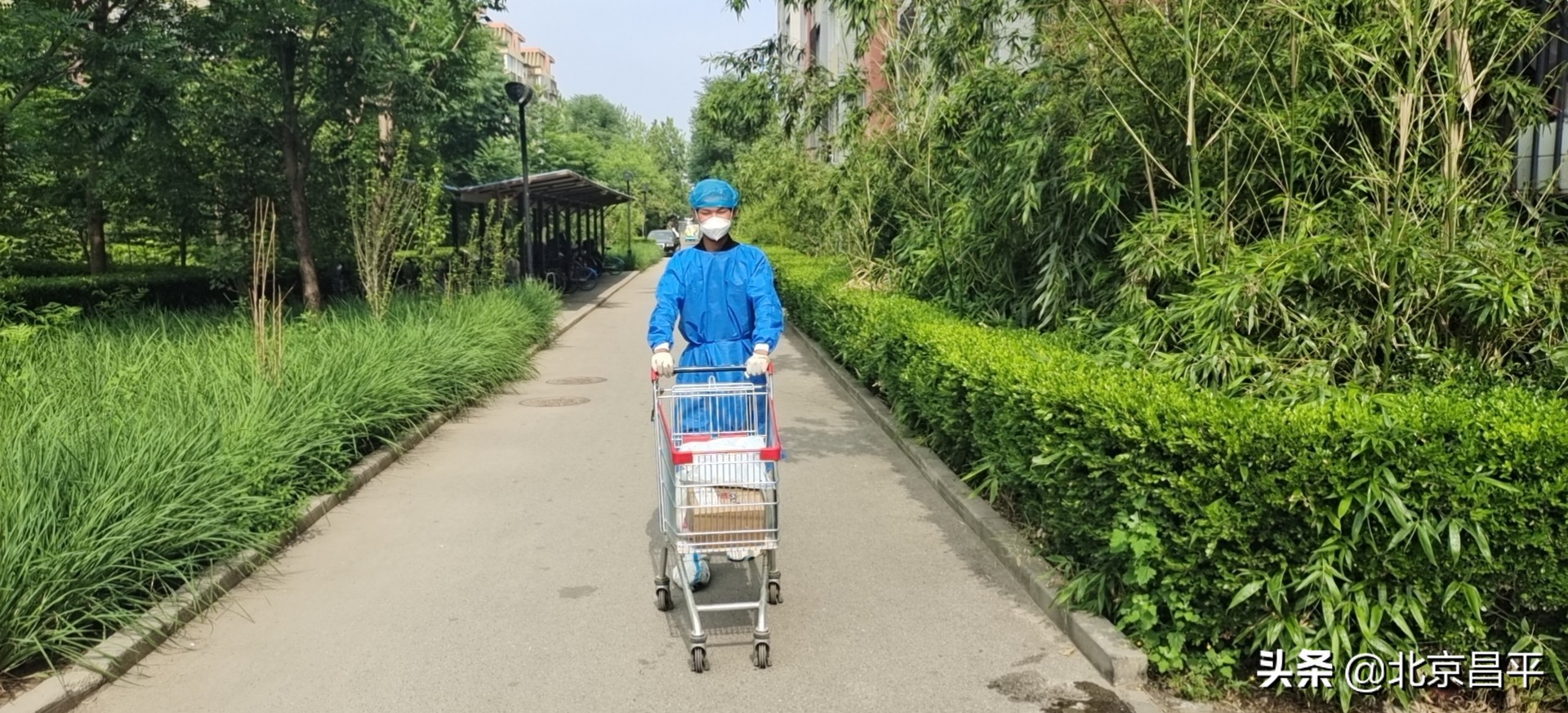 从封控到即将解封，龙跃苑三区曾这样走过……