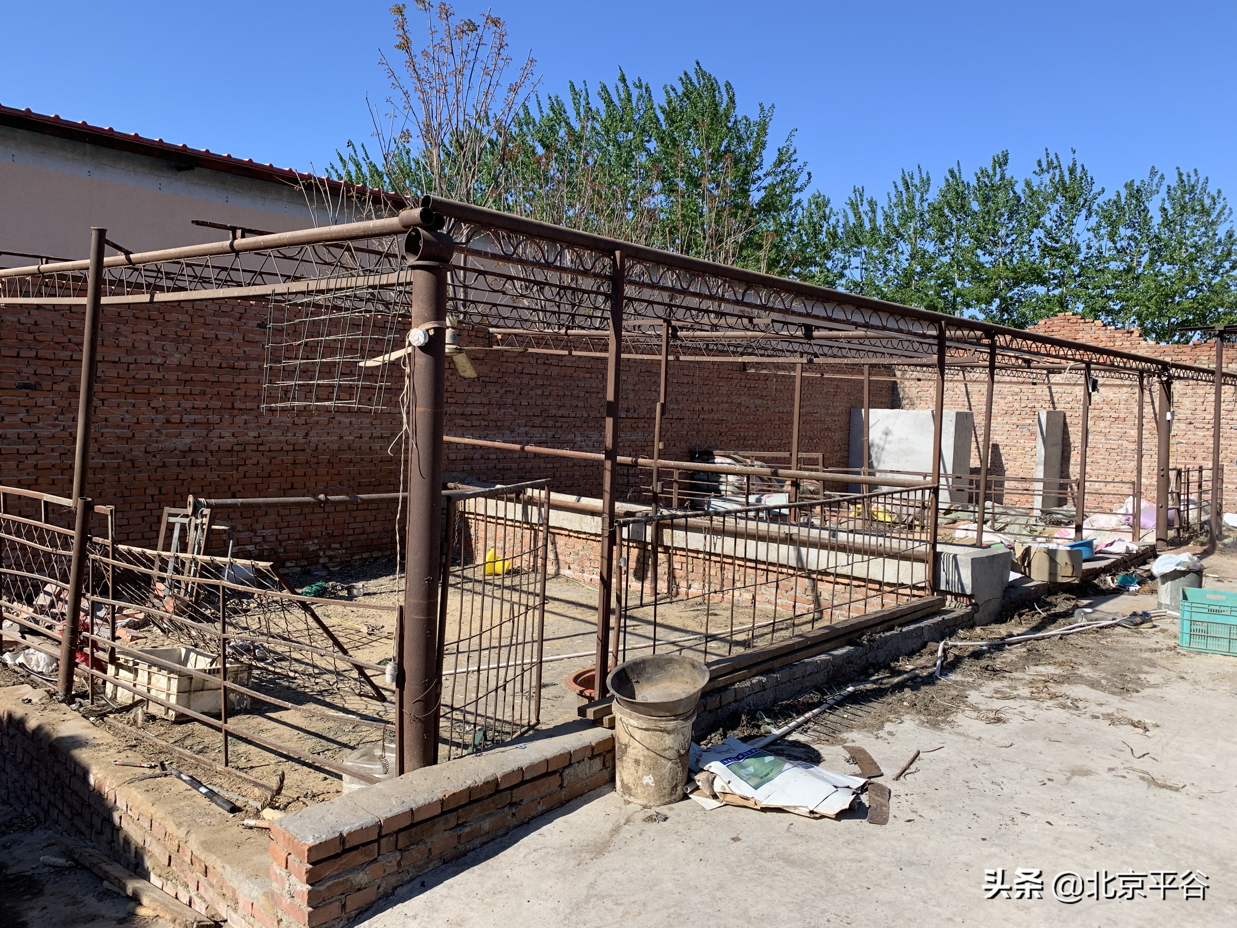 平谷区扎实推进“疏整促”专项行动 打造宜居宜业美丽家园