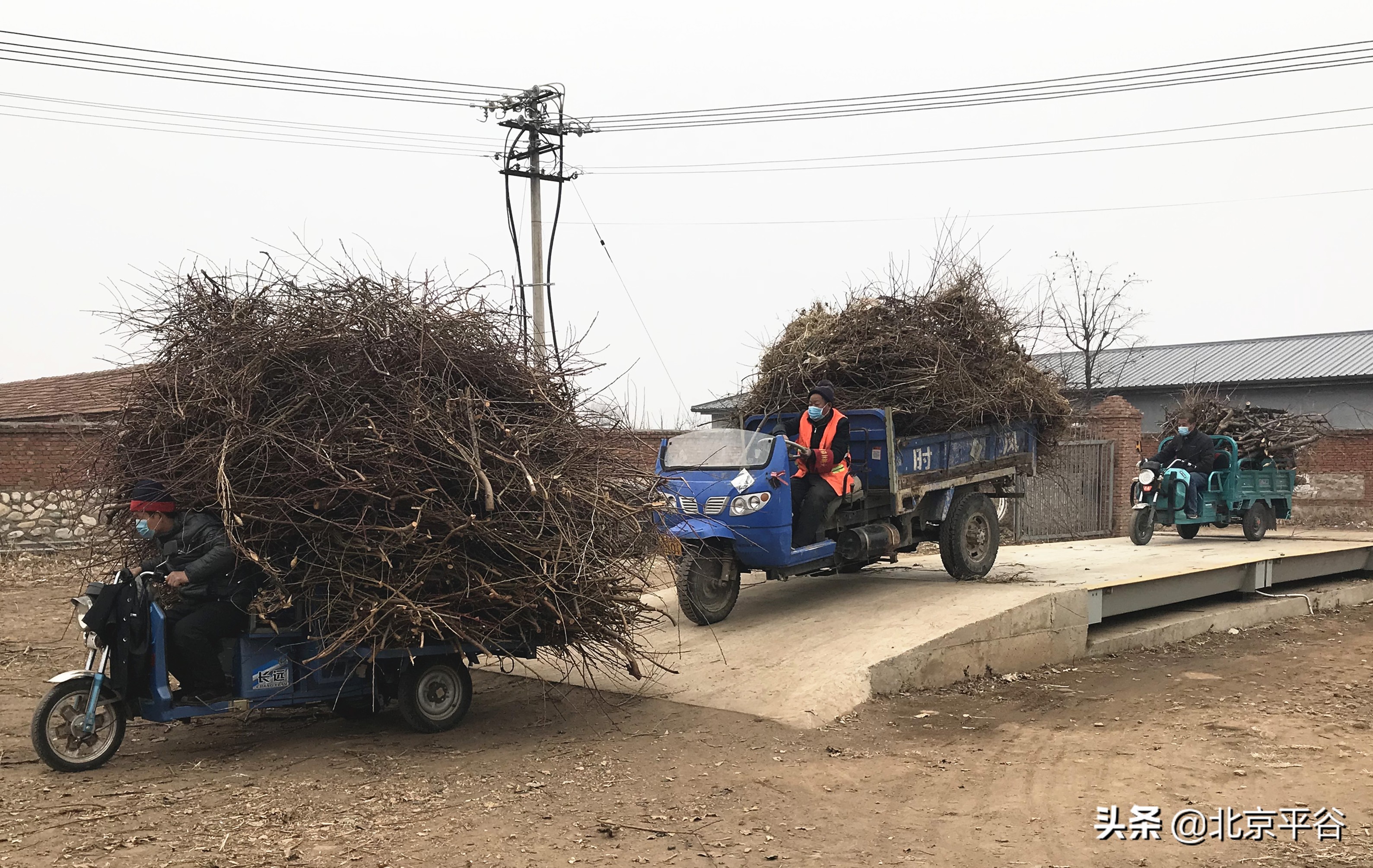 北京平谷抓防控勤春耕两不误