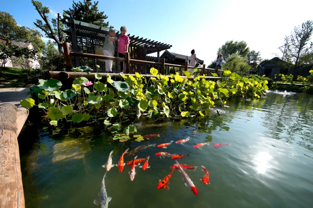 东城：书写新时代首都核心区高质量发展新答卷