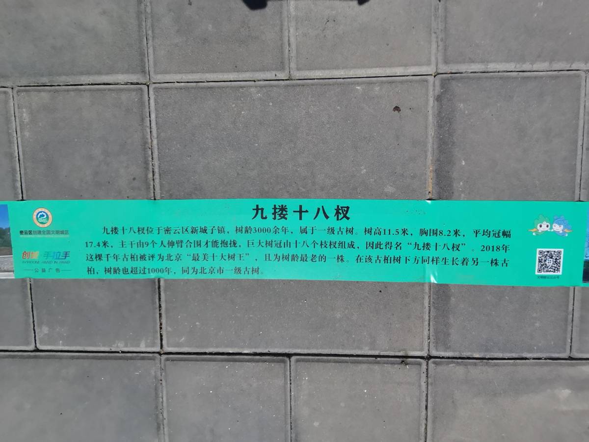 密云区新城子镇花样“两米线”，彰显文明新风尚