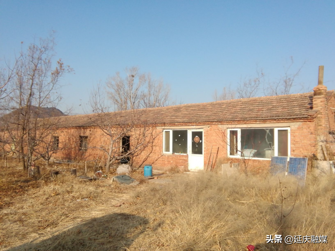 创建基本无违建区丨帮水峪村依法拆除违法建设养殖小区