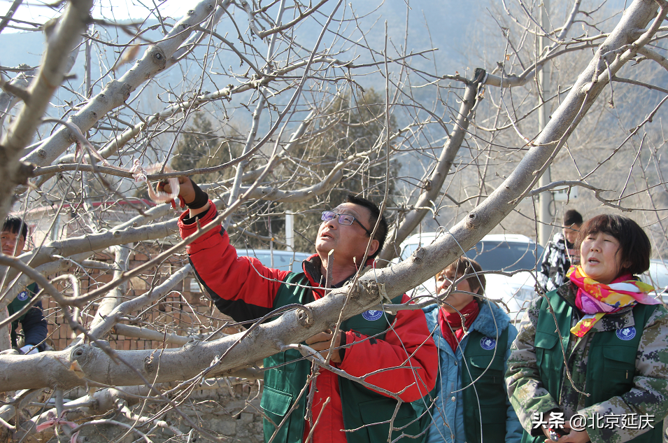 科技服务推进延庆冰雪小镇乡村振兴