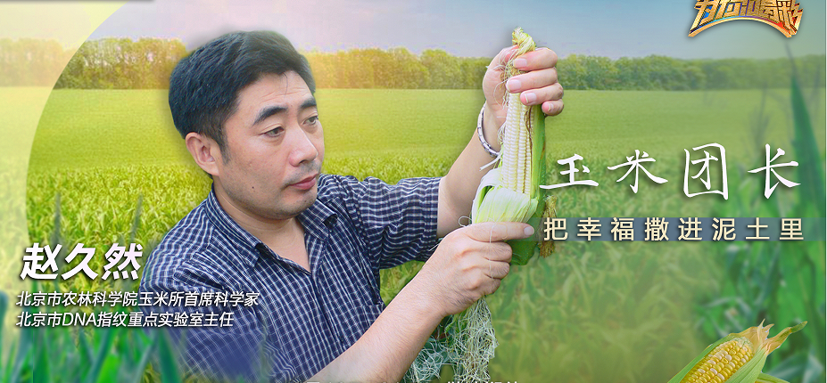 “玉米团长”不简单！