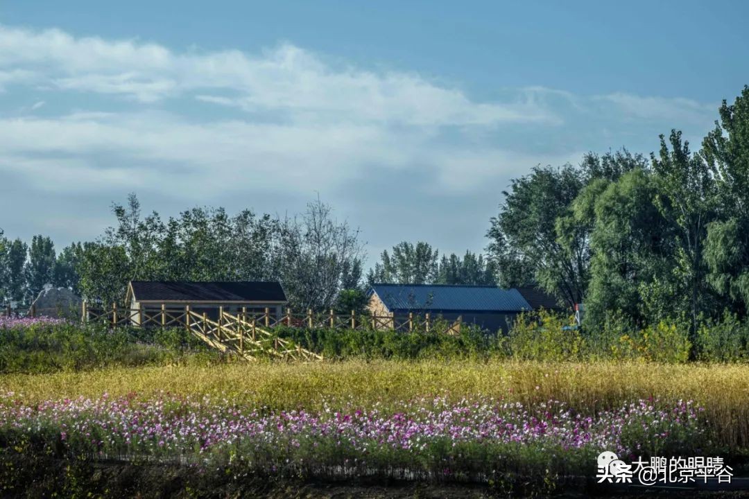 打造农村综合体！这个秋天，遇见平谷“大美周庄”