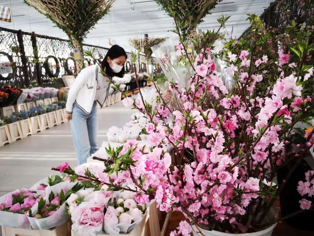 全国首个《花卉交易服务规范》地方标准落地丰台
