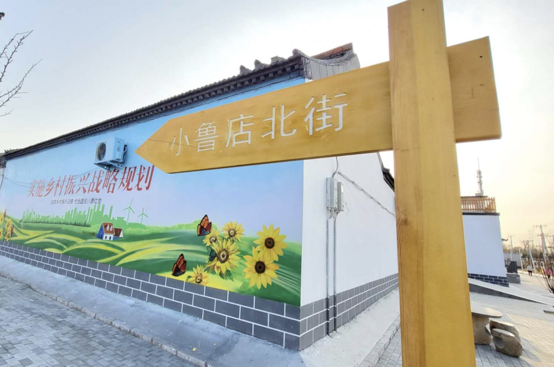 回望十三五：一村一落皆是景，美丽乡村入画来