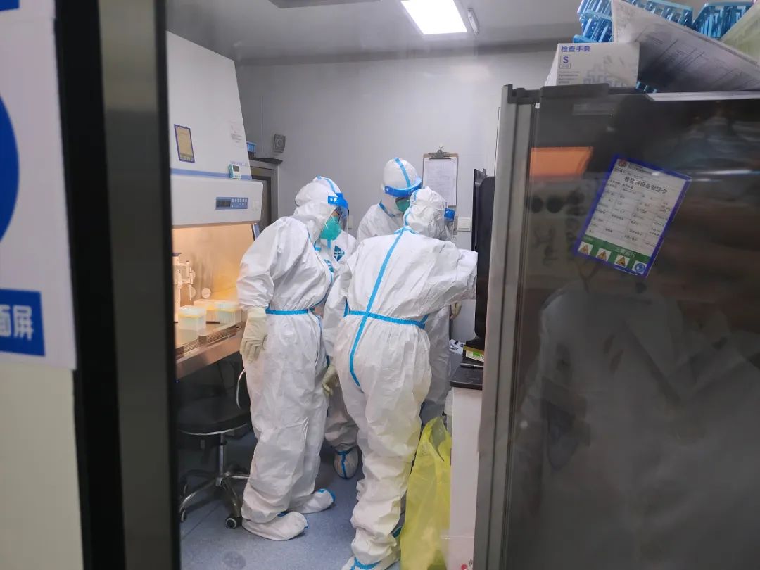 核酸检测的后方“战场”，他们在与“病毒”近距离对峙