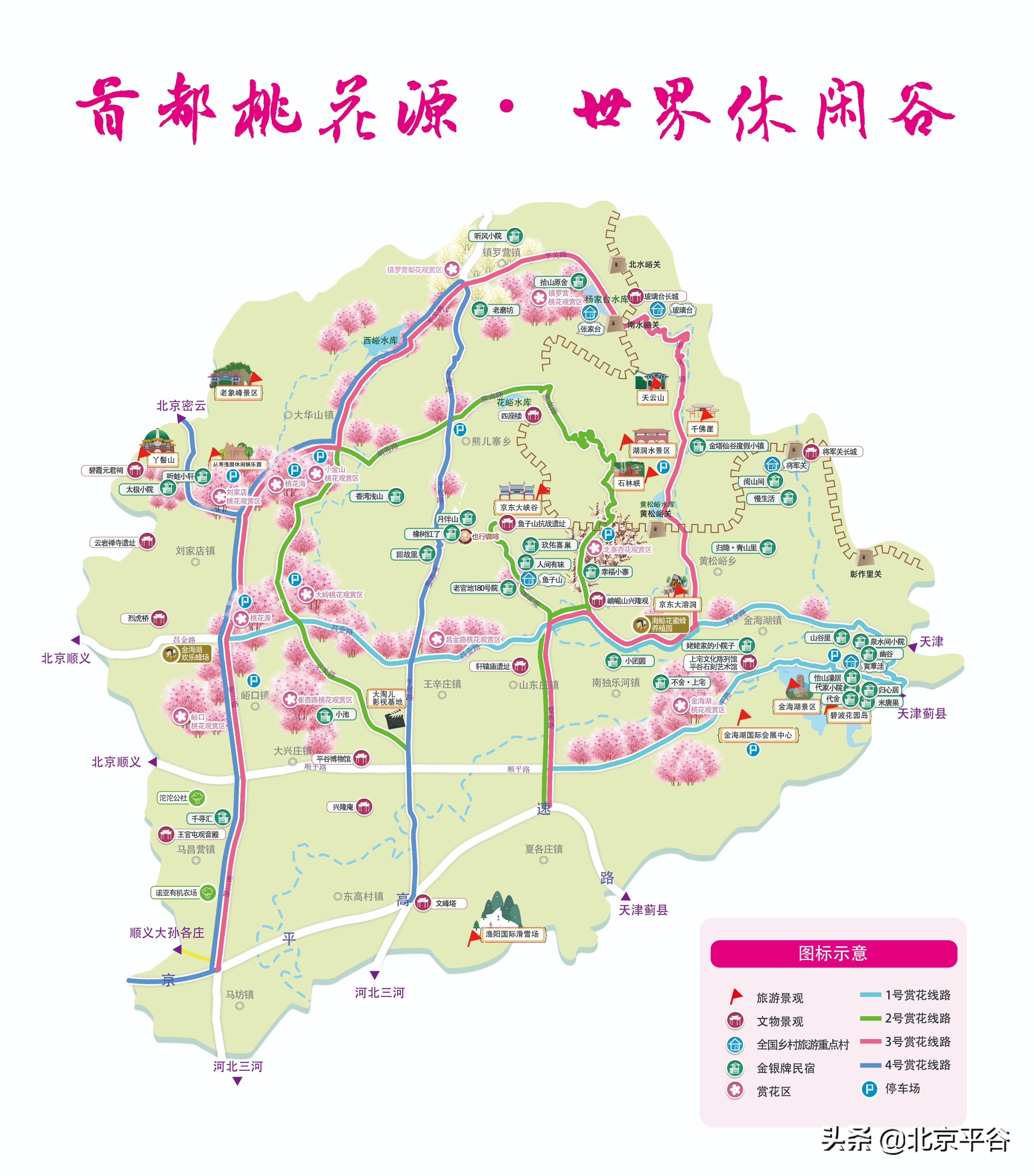 平谷携手阿里巴巴 世界级景观平谷桃花海云上绽放