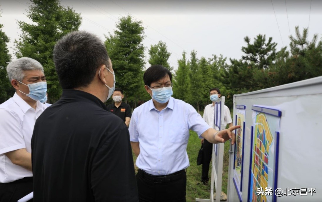 支现伟带队调研清华附中昌平学校及其西侧市政道路建设情况