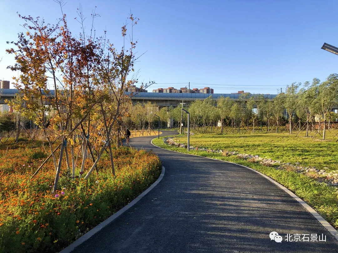 衙门口城市森林公园：京西最大规模的留白增绿片区