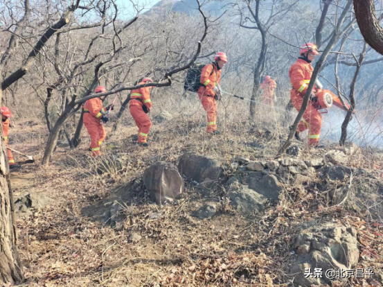 昌平“防风险、保平安、迎冬奥”森林灭火综合实战演练圆满完成！