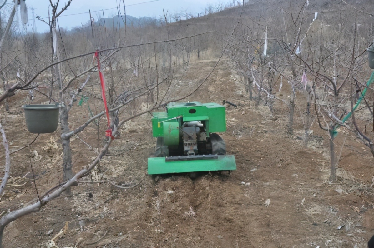 新城子镇启动果园废弃物治理项目