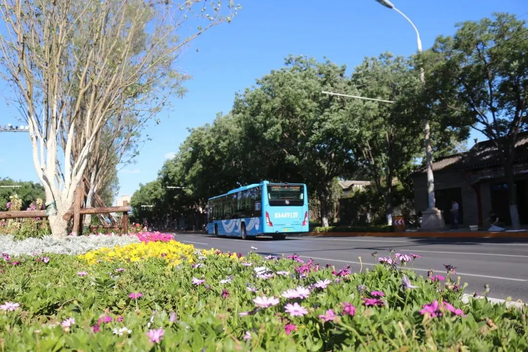 平安大街：绿荫映京韵