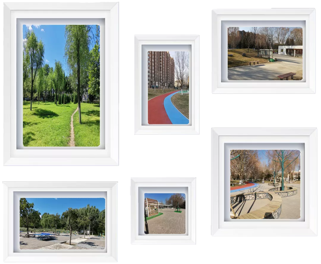 创森进行时 | 全市首批全龄友好型公园在莲花池公园、绿源公园试点建设