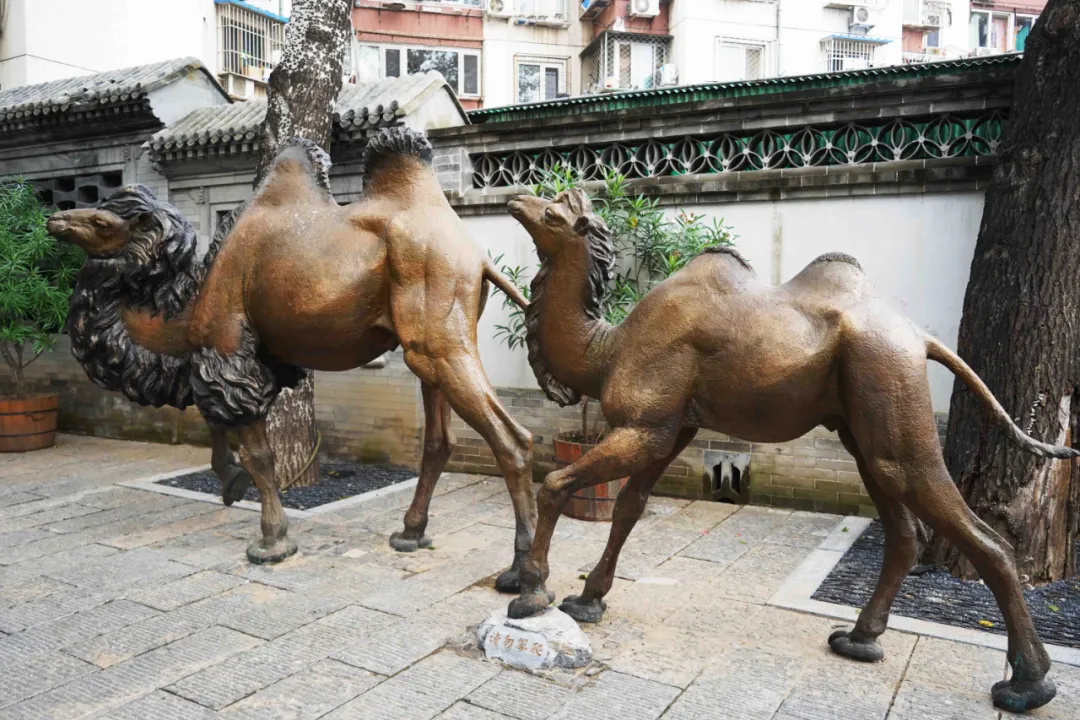 老舍笔下“驼铃古道”模式口经过改造升级后成为市民游玩新的打卡地