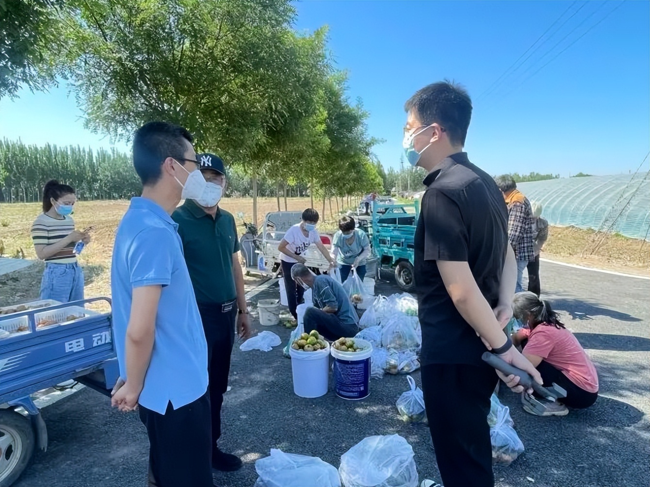 李遂镇多方施策，为镇域农产品打通销售渠道