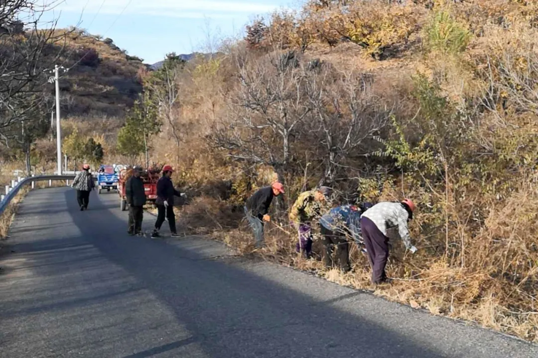 密云区巨各庄镇：防火扫除两不误 秋日最美酒乡路