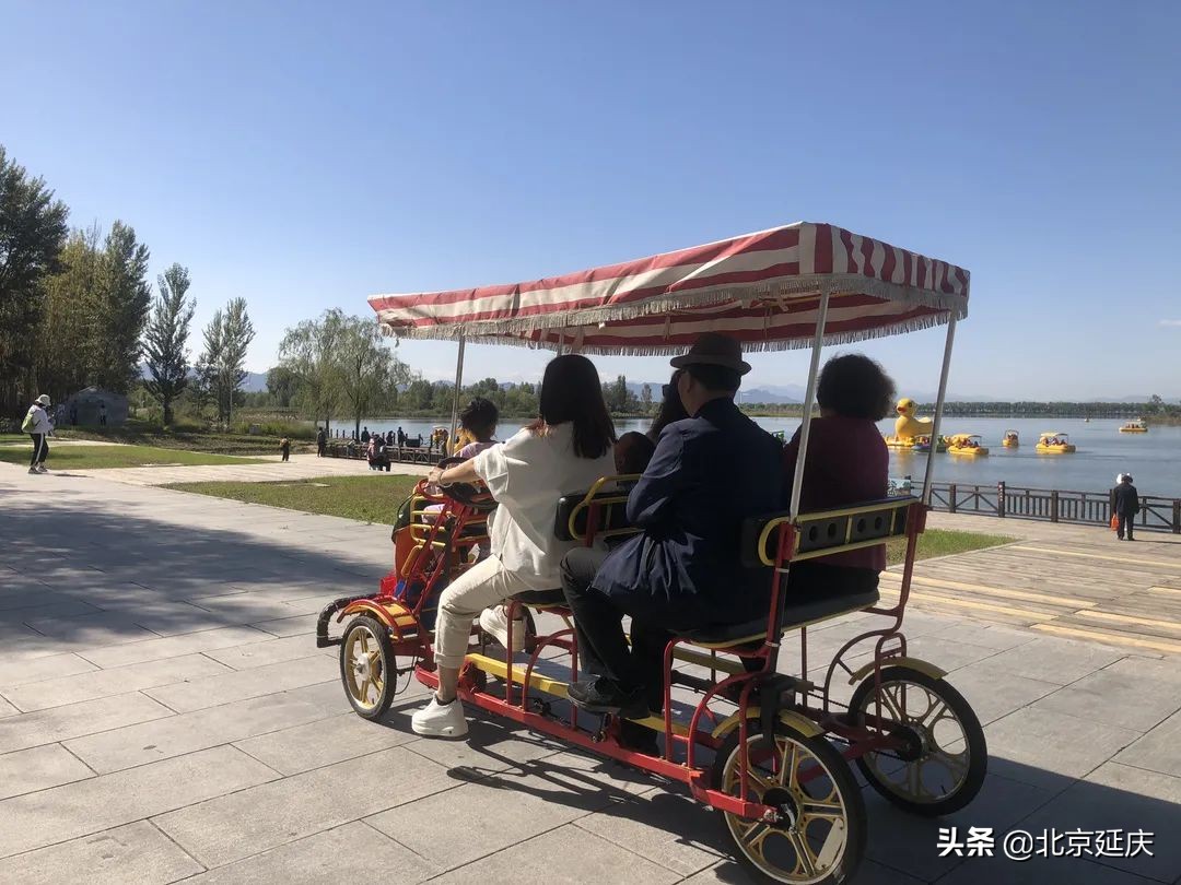 生态之美尽显眼前 国庆假期延庆野鸭湖旅游秩序井然