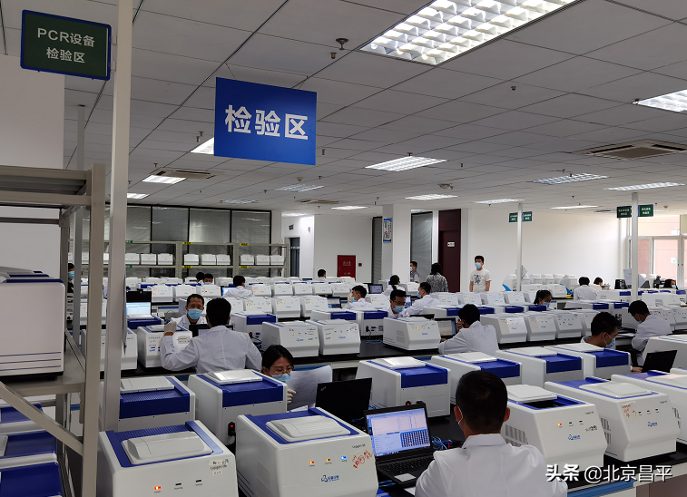 有温度、有力度！昌平稳企纾困精准发力，全力推进复工复产