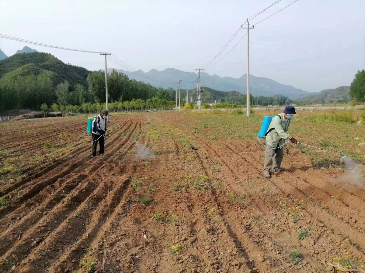 密云区新城子镇土地复耕变良田 助力乡村新发展