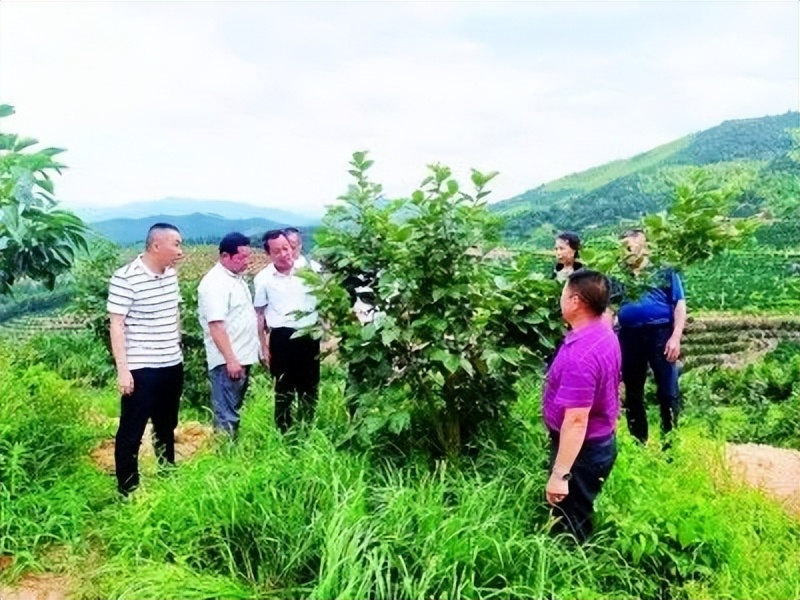 党的十八大以来是怎样建设好党的基层组织和党员队伍？来看这篇综述——