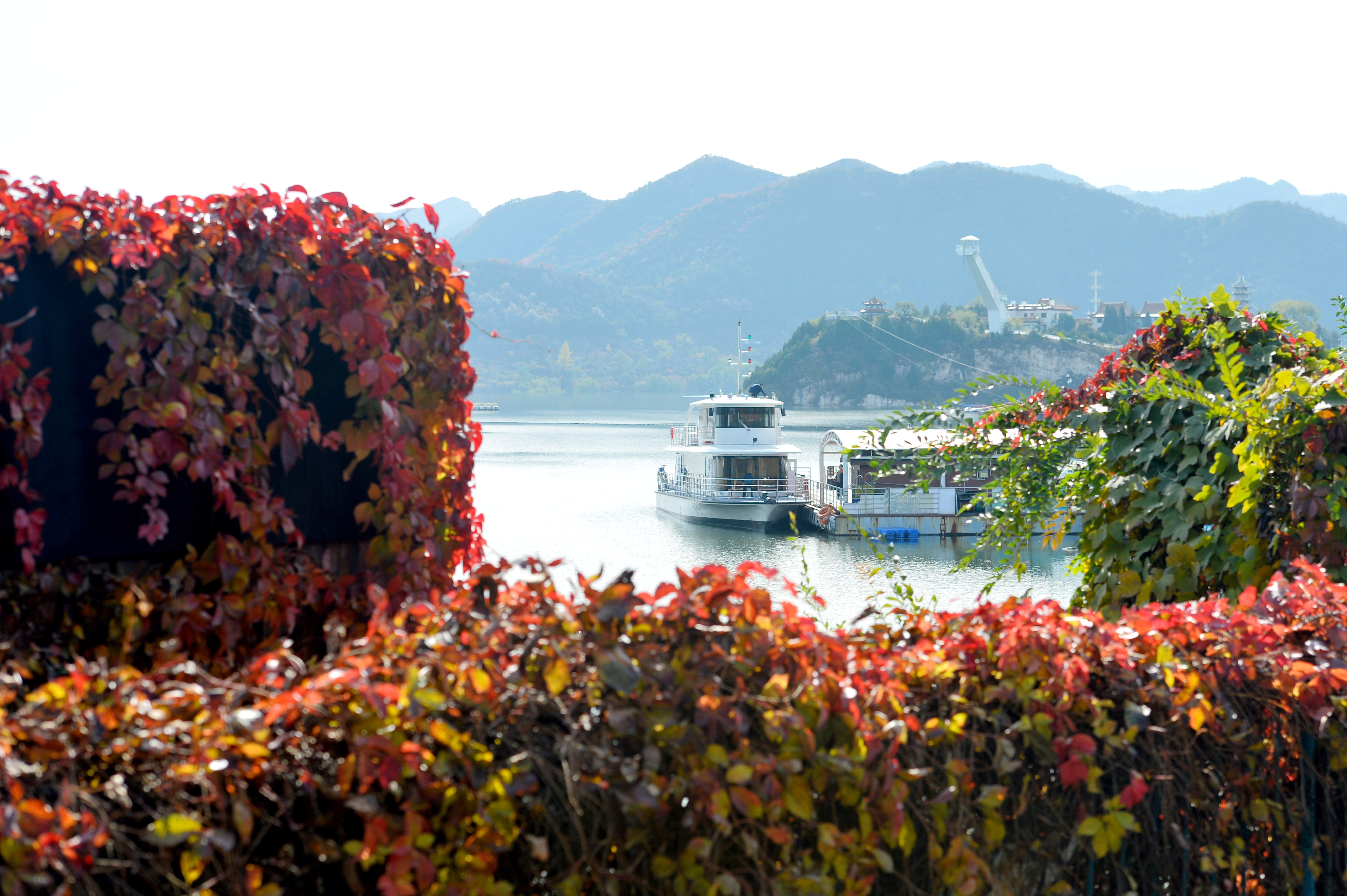 金海湖晚秋 水岸红叶风景独好