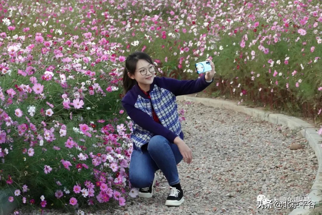 打造农村综合体！这个秋天，遇见平谷“大美周庄”